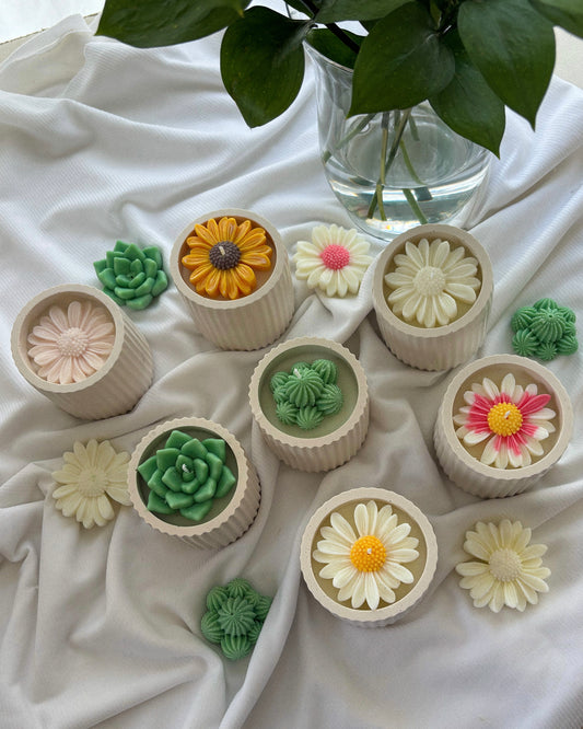 The Eden Collection