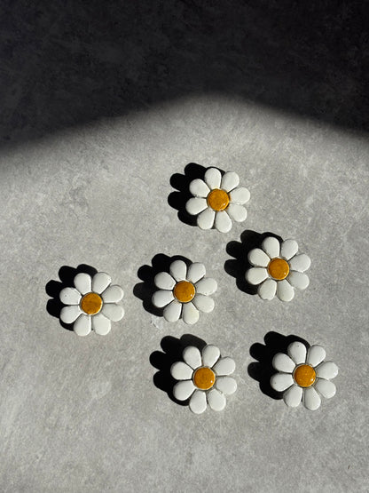 Fridge Magnets
