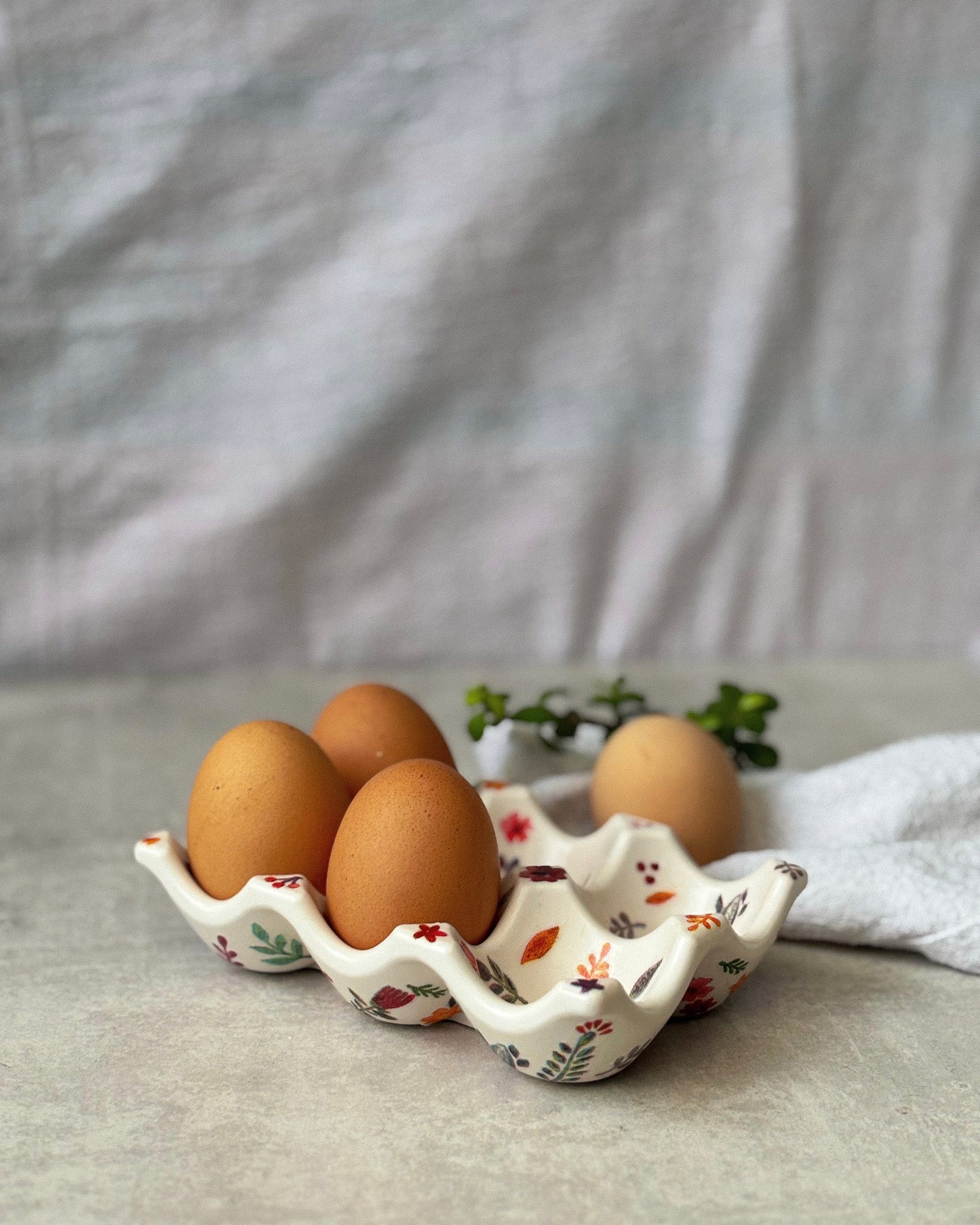 Egg Holder