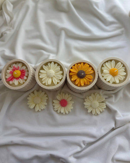 The Eden Collection