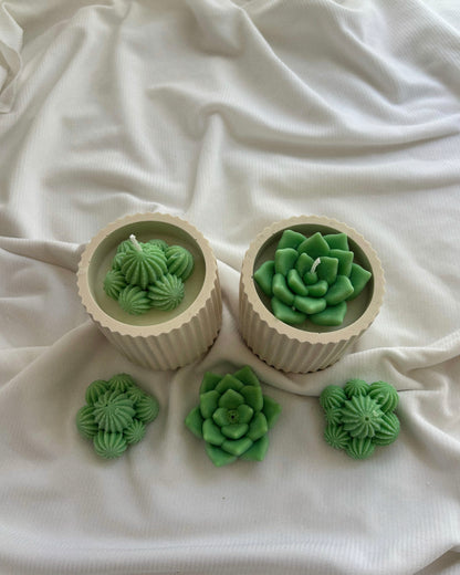 The Eden Collection