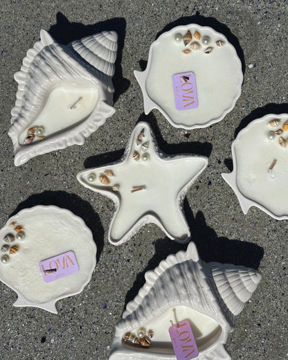 The Coastal Collection